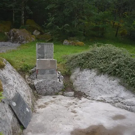 Skogshytte Holiday home